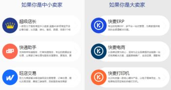 光云科技科創(chuàng)板IPO 深耕電商軟件服務，技術(shù)創(chuàng)新驅(qū)動未來成長